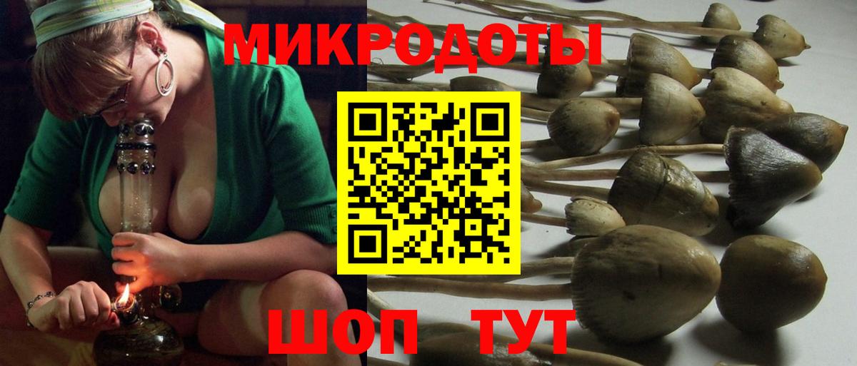 Галлюциногенные грибы Magic Shrooms Лабинск