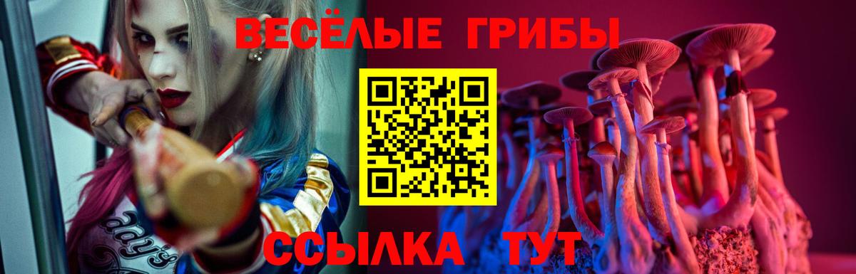 Лабинск  Псилоцибиновые грибы мицелий  дарнет шоп  Вход с VPN 